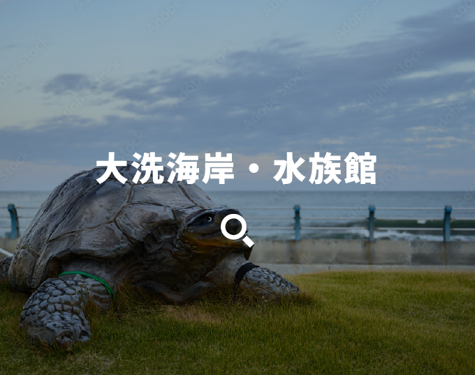 大洗海岸・水族館